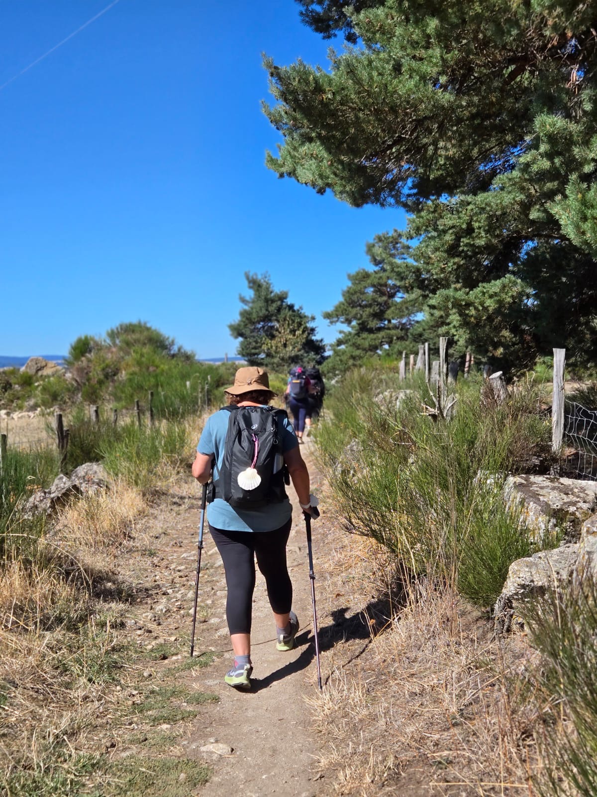 Marcheuse avec une coquille Saint-Jacques sur le sac, avançant sur le chemin
