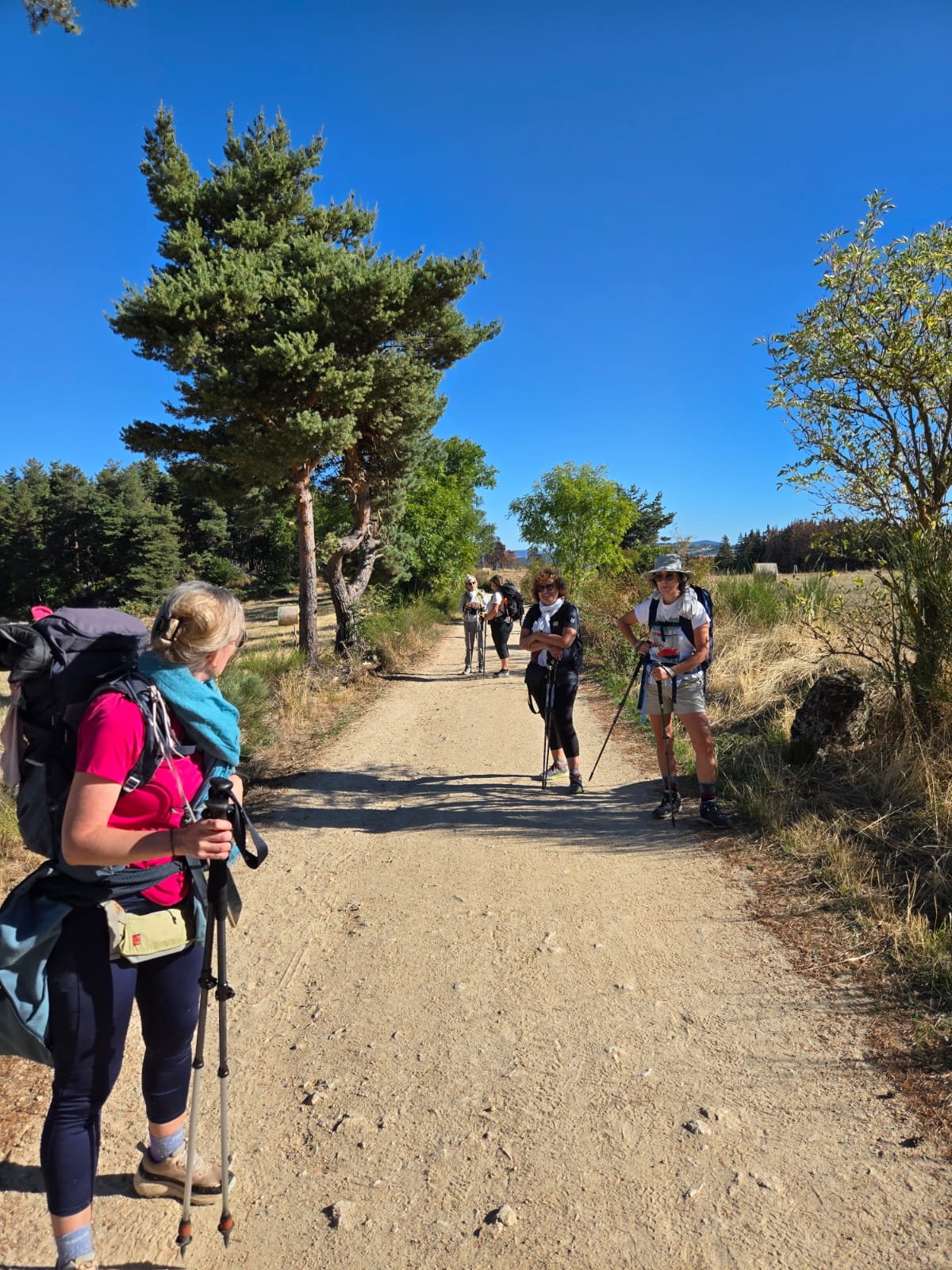 Les marcheuses faisant une pause sur un chemin de campagne