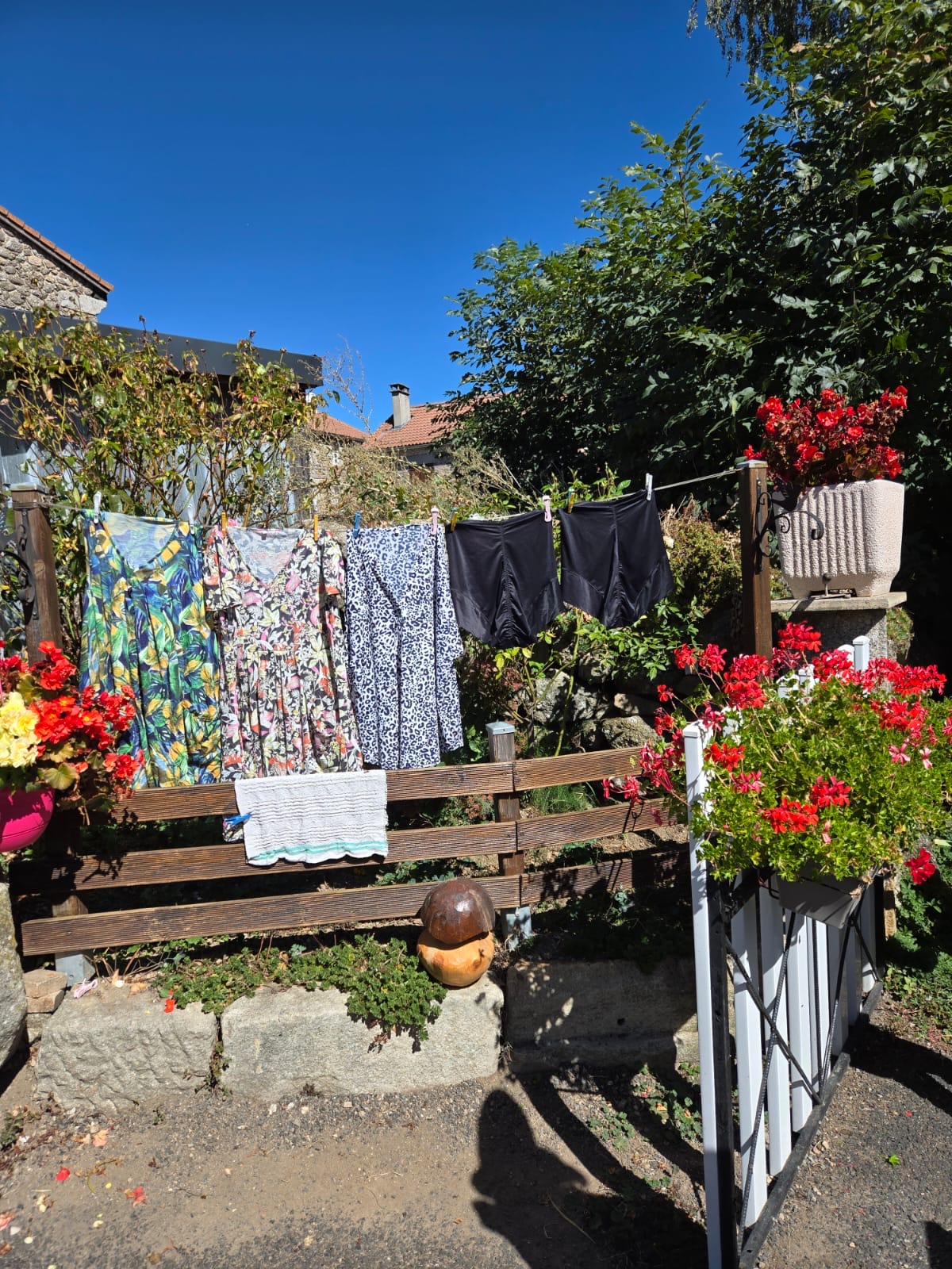 Les célèbres culottes de Josy séchant au soleil au jardin