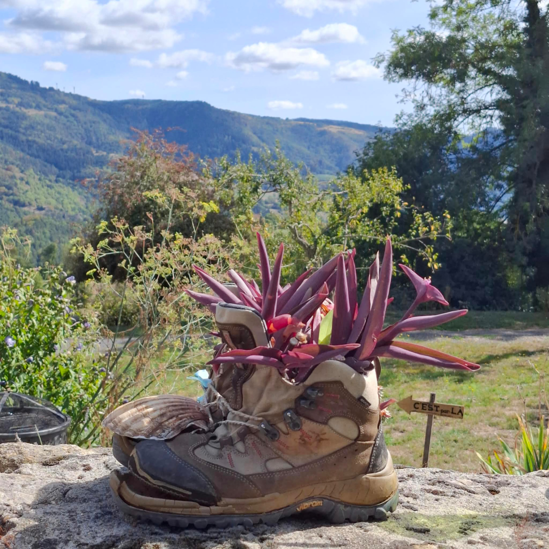 Une chaussure de randonnée décorée de fleurs, symbole du chemin parcouru