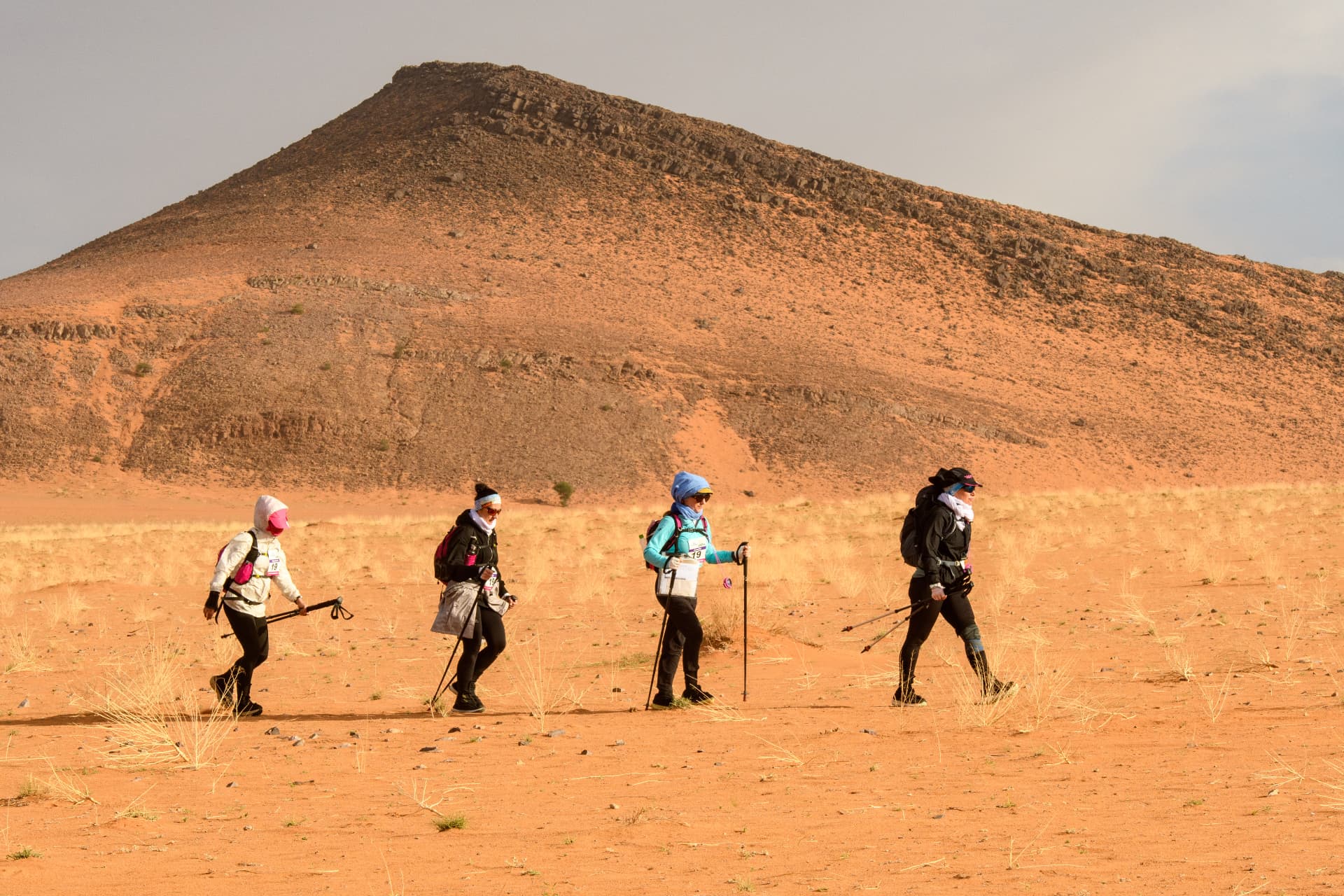 Quatre femmes en tenue de trek avec rubans roses sur leurs sacs à dos, marchant dans un paysage désertique marocain au coucher du soleil, vues de dos