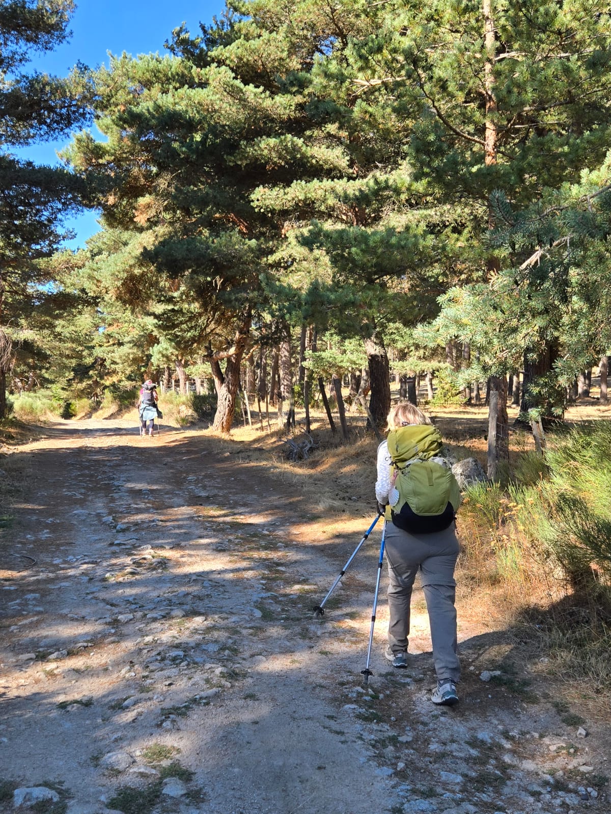 Une participante avançant sur un chemin pierreux dans la forêt